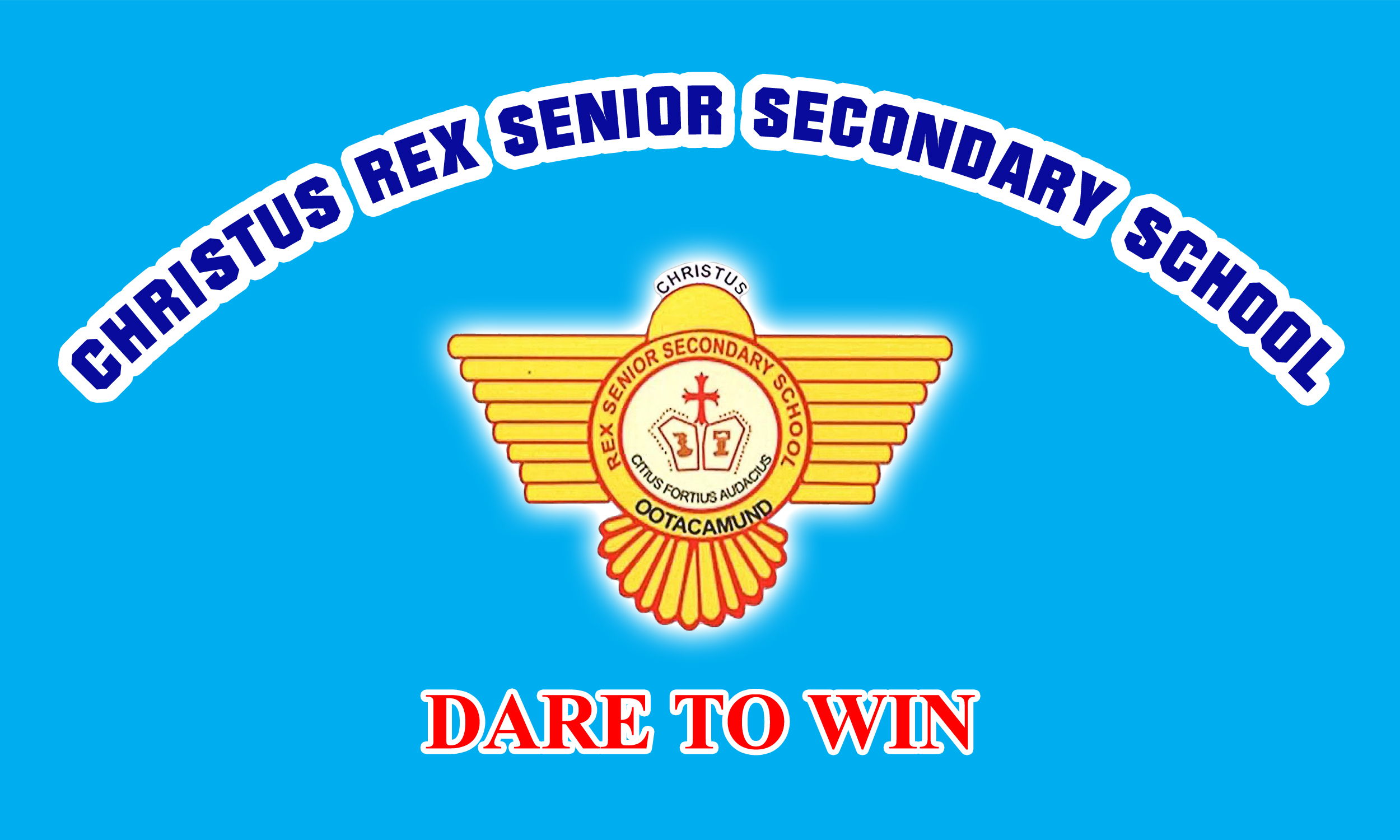 REX School Sports Flag